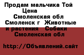 Продам мальчика Той › Цена ­ 6 000 - Смоленская обл., Смоленск г. Животные и растения » Собаки   . Смоленская обл.